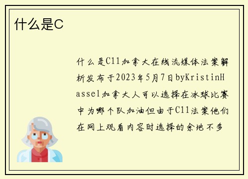 什么是C